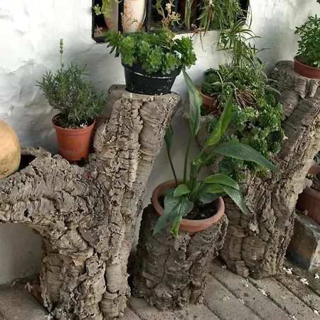 Holiday home Cruzchiquita Alpandeire